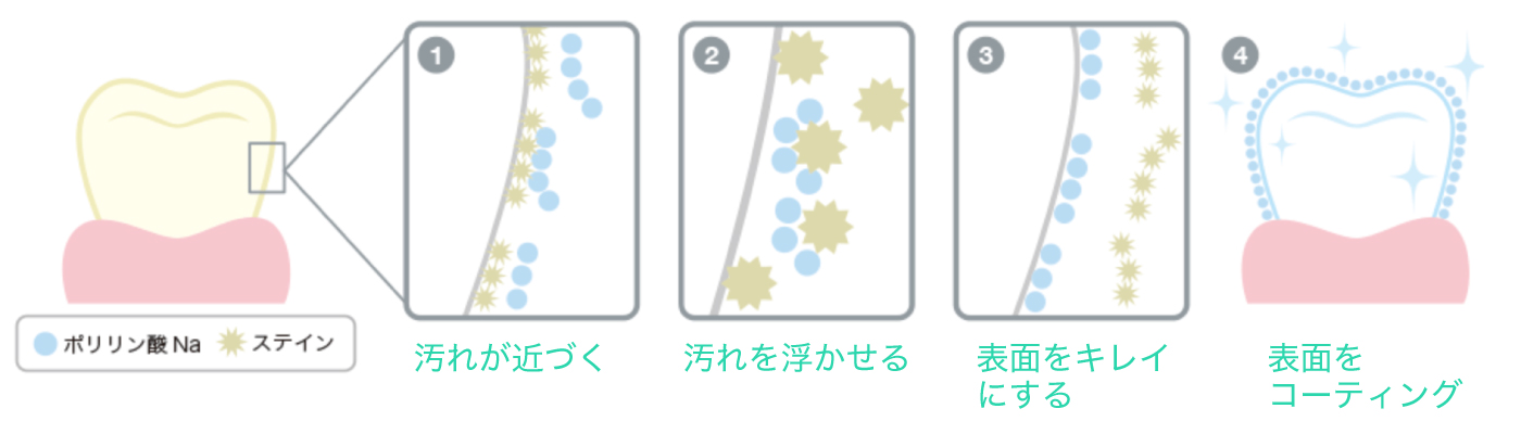 ポリリン酸ホワイトニングの仕組み