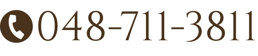 048-711-3811